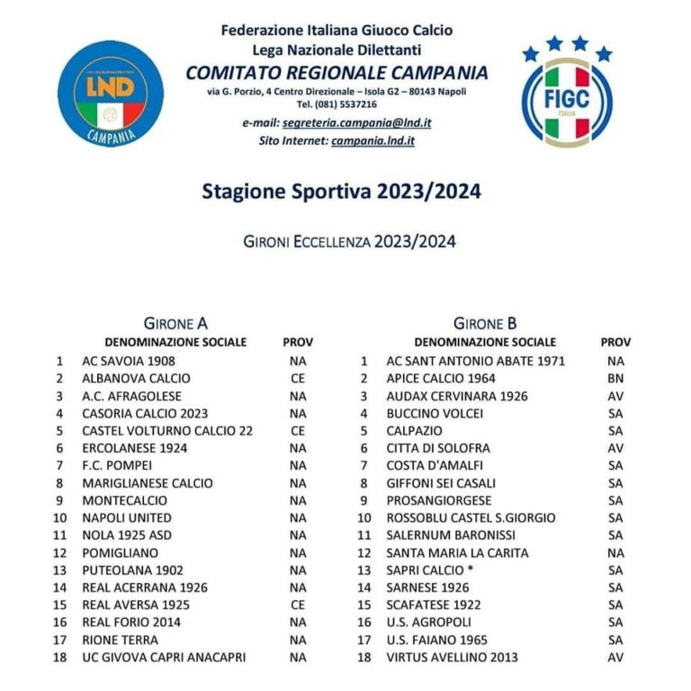 Eccellenza 2023/24: ecco i gironi